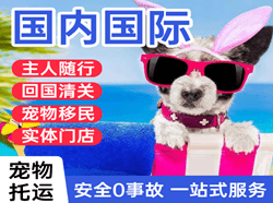 阿拉尔塔里木国际宠物托运 【国
